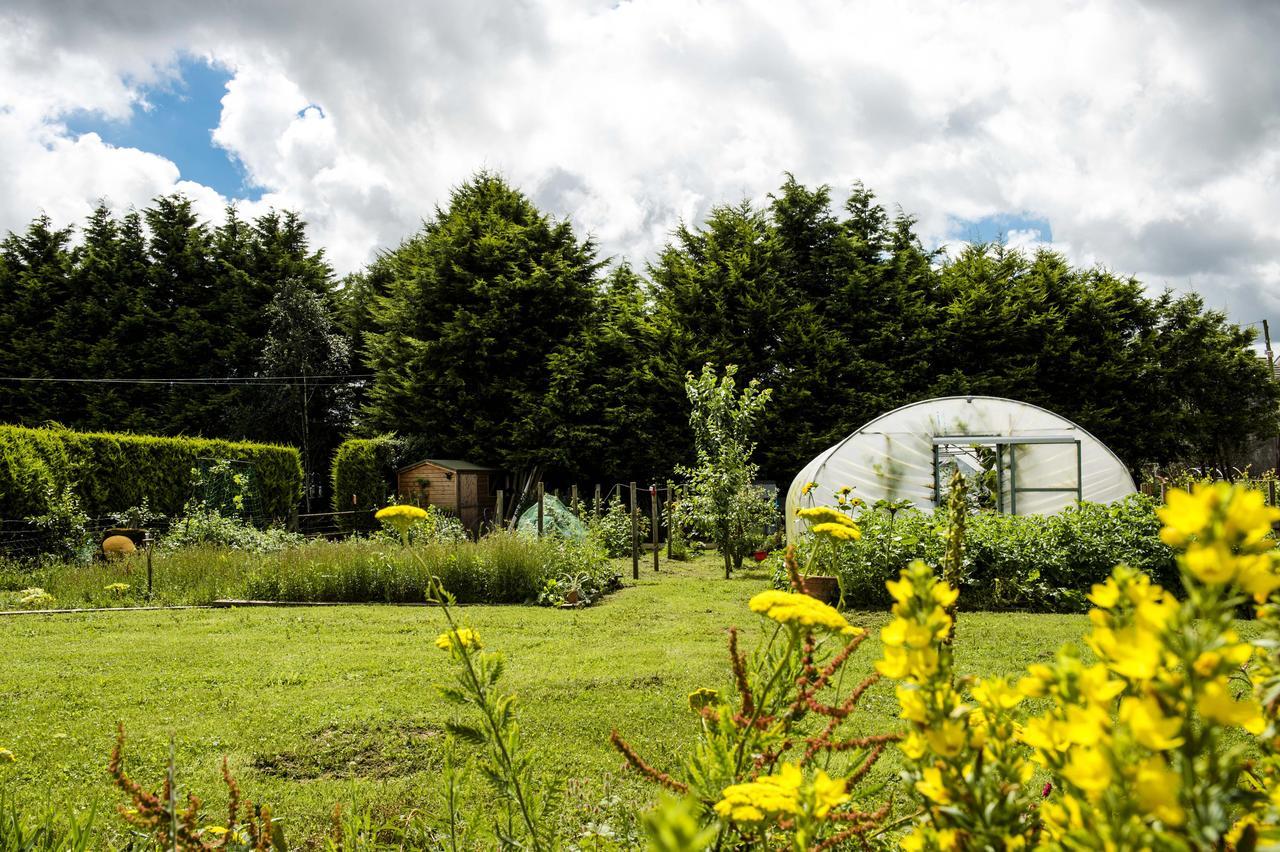 Bed and Breakfast Peartree Hill Dundonald  Экстерьер фото