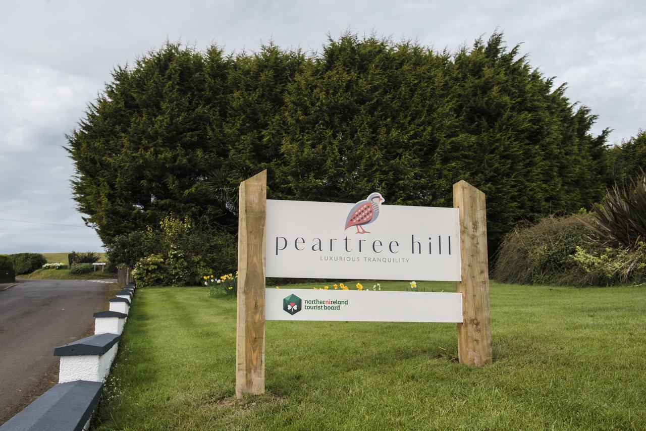 Bed and Breakfast Peartree Hill Dundonald  Экстерьер фото